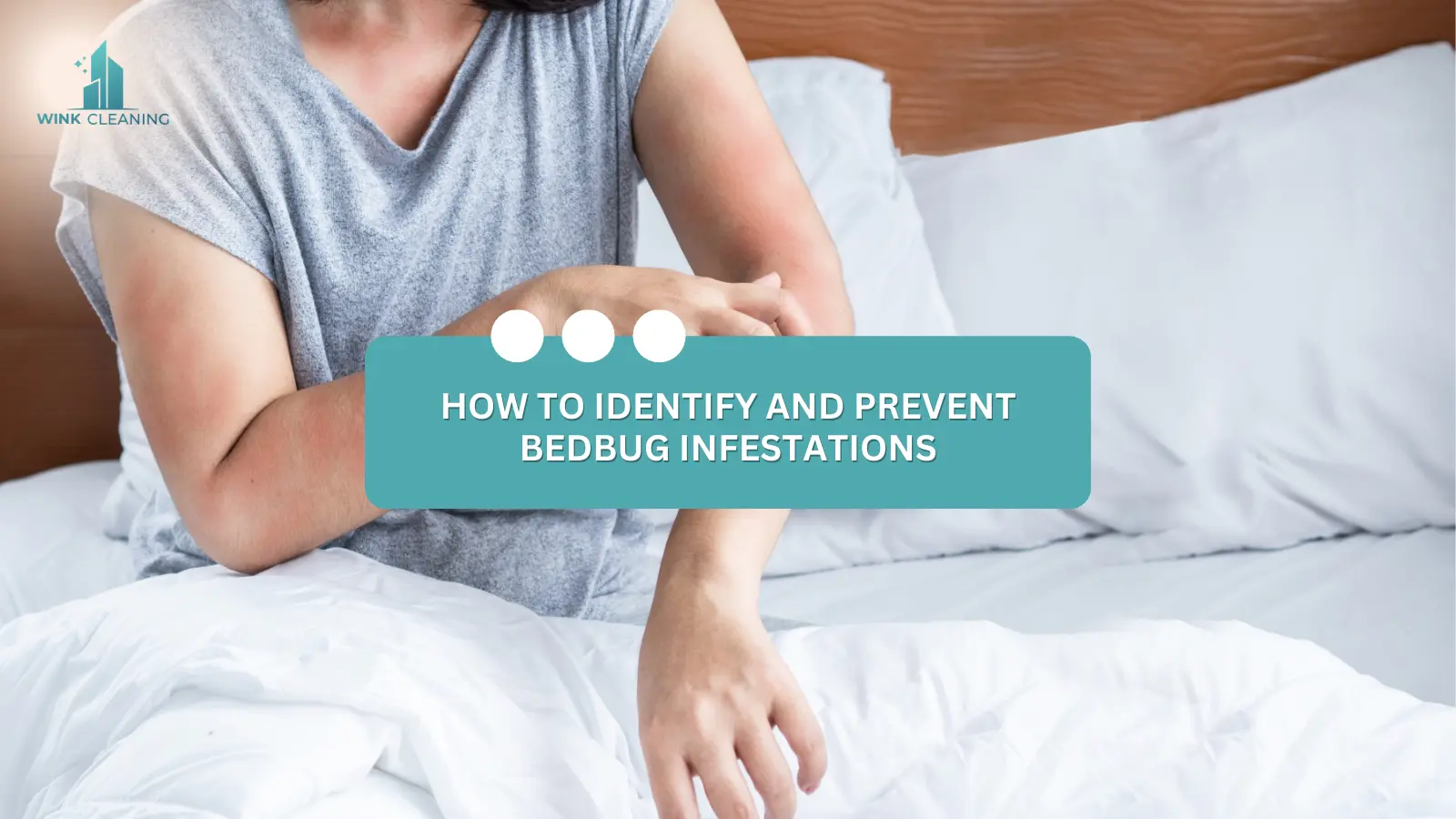 HOW TO IDENTIFY AND PREVENT BEDBUG INFESTATIONS - Wink Cleaning