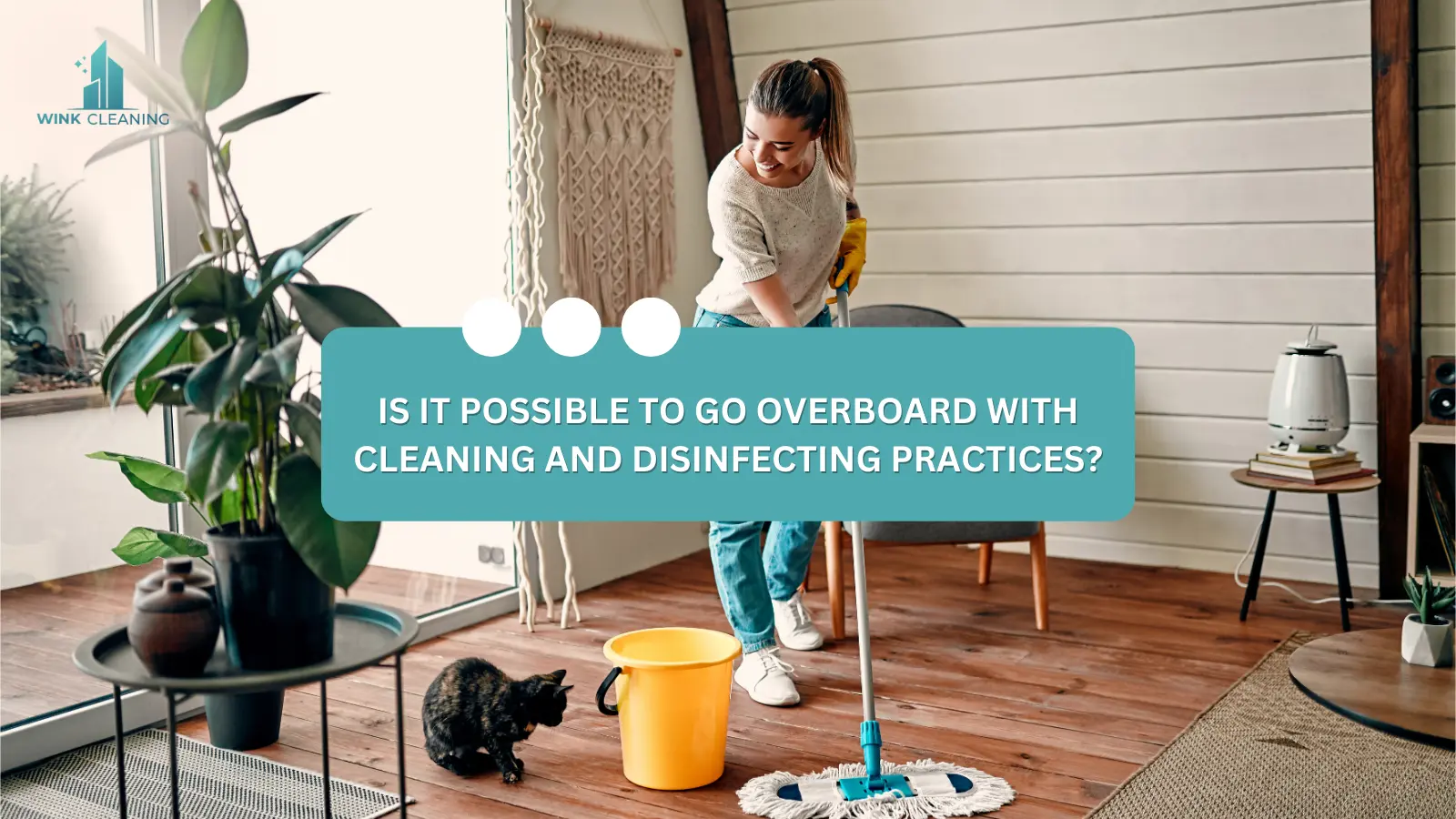 Is It Possible to Go Overboard with Cleaning and Disinfecting Practices? - Wink Cleaning