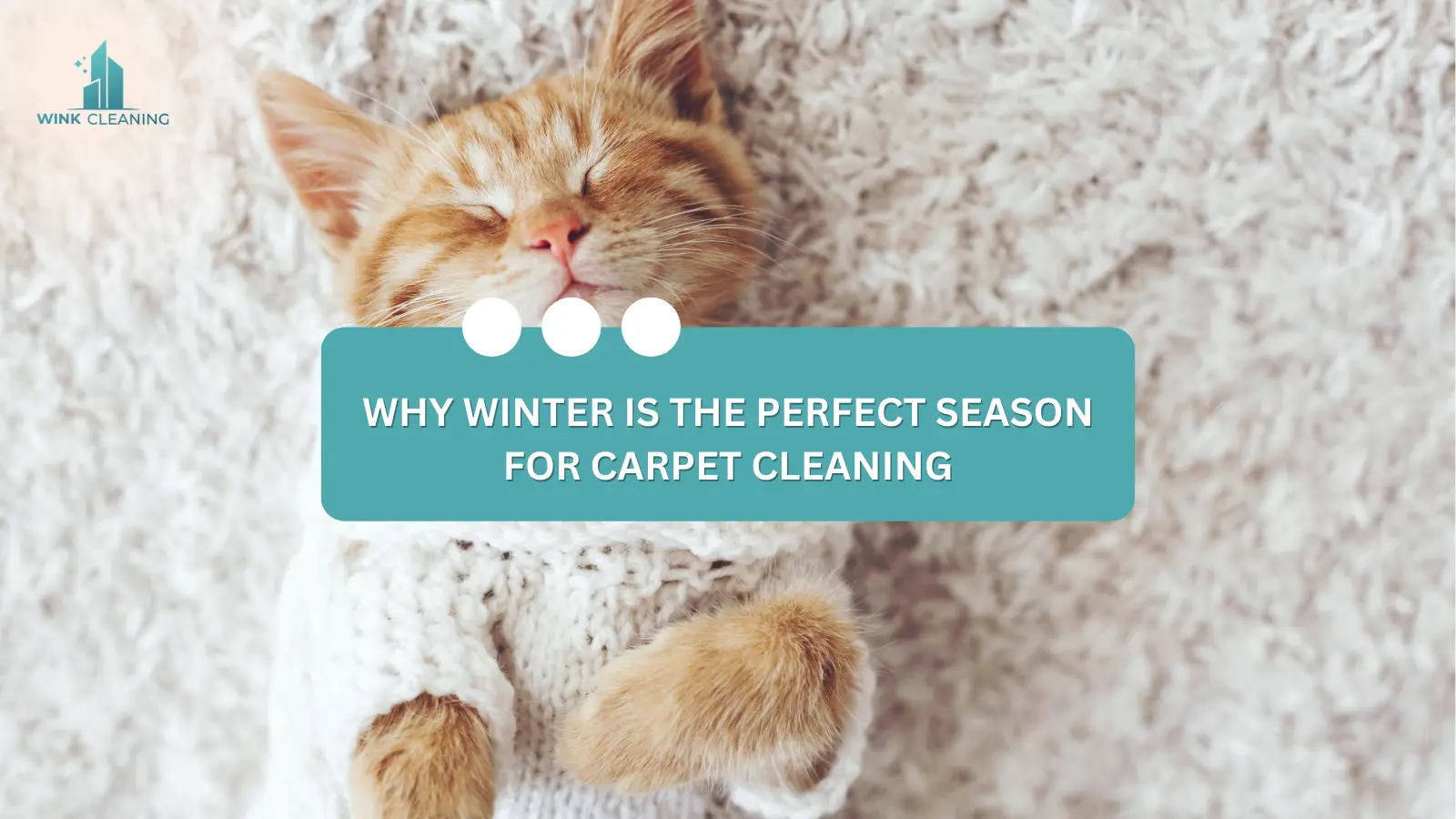 Why Winter is the Perfect Season for Carpet Cleaning - Wink Cleaning