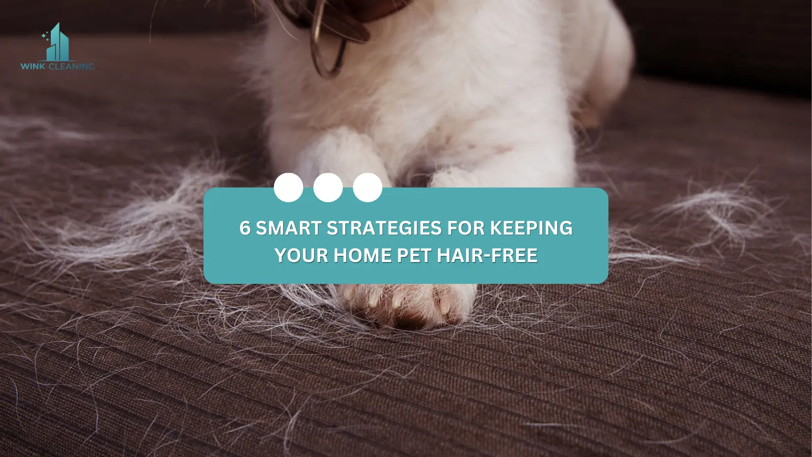 6 SMART STRATEGIES FOR KEEPING YOUR HOME PET HAIR-FREE - Wink Cleaning