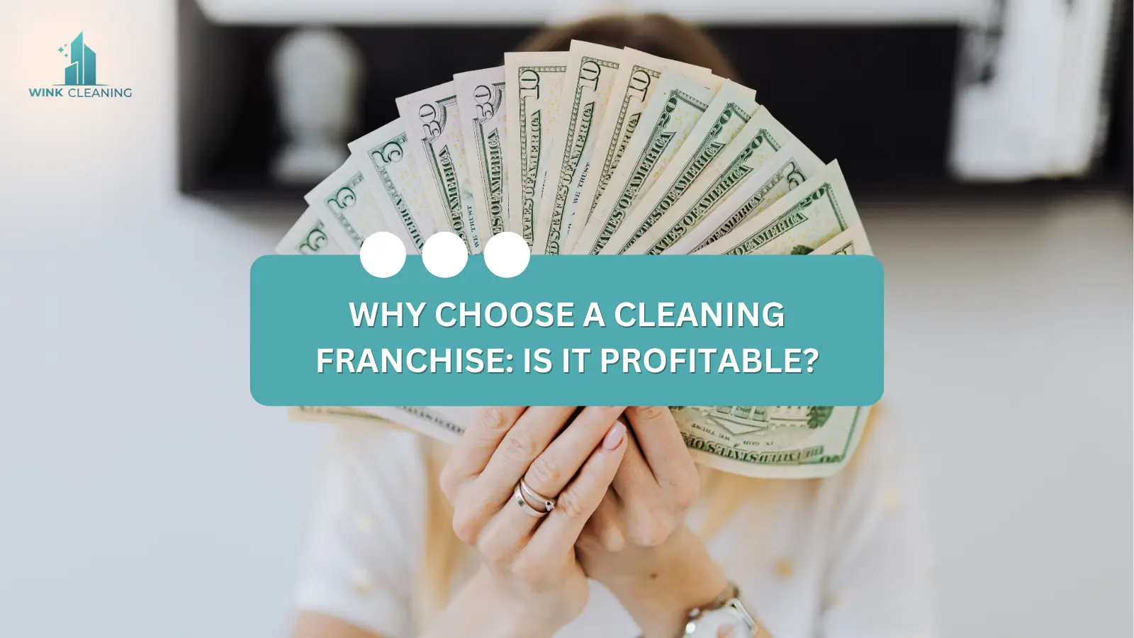 Why Choose a Cleaning Franchise: Is It Profitable? - Wink Cleaning