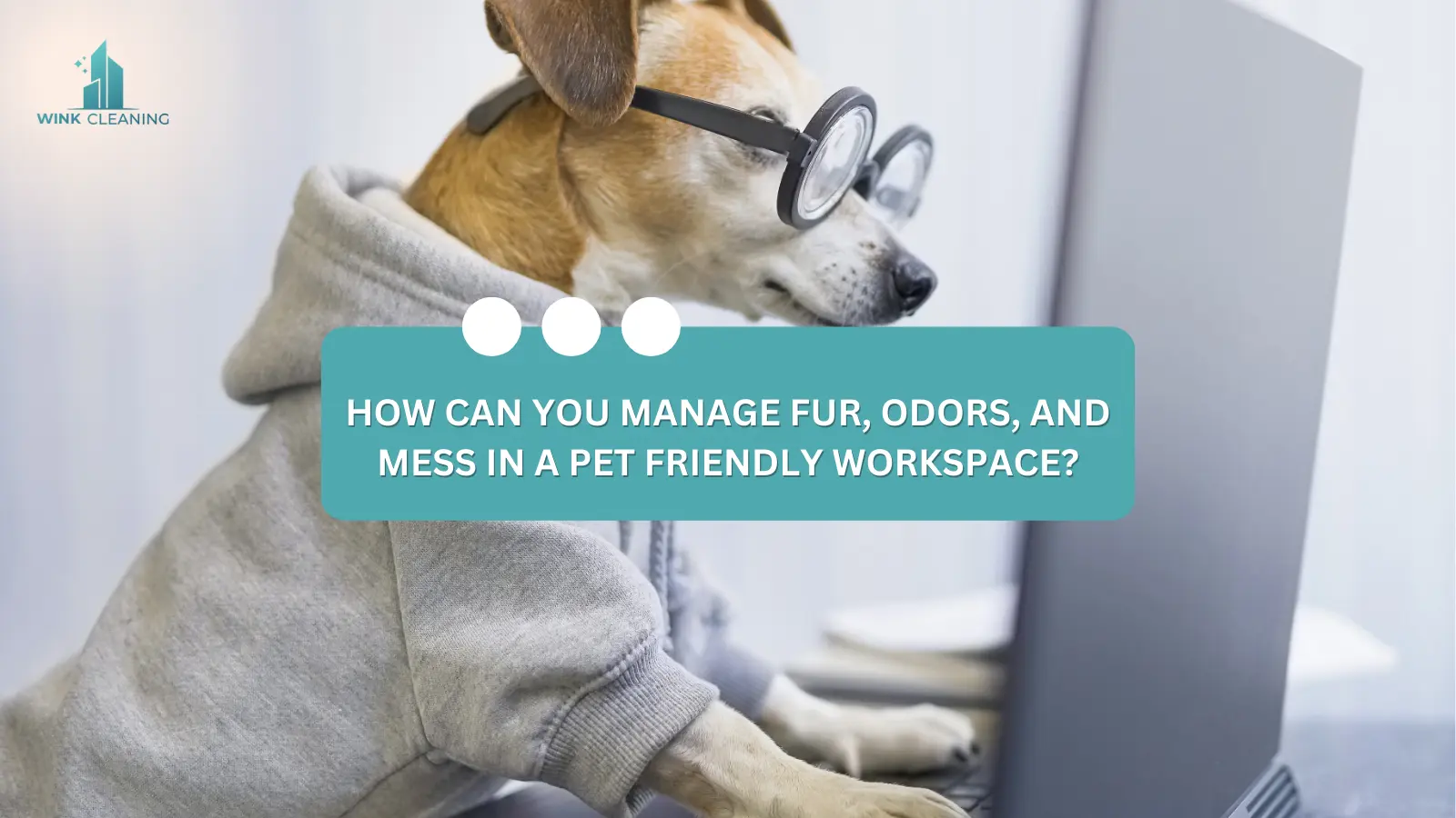 How Can You Manage Fur, Odors, and Mess in a Pet Friendly Workspace? - Wink Cleaning