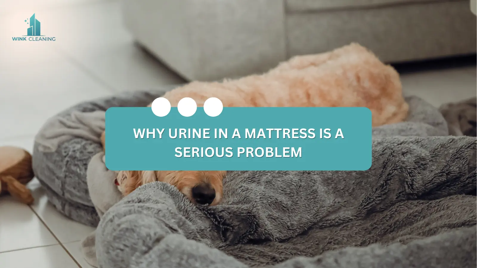 Why Urine in a Mattress Is a Serious Problem - Wink Cleaning